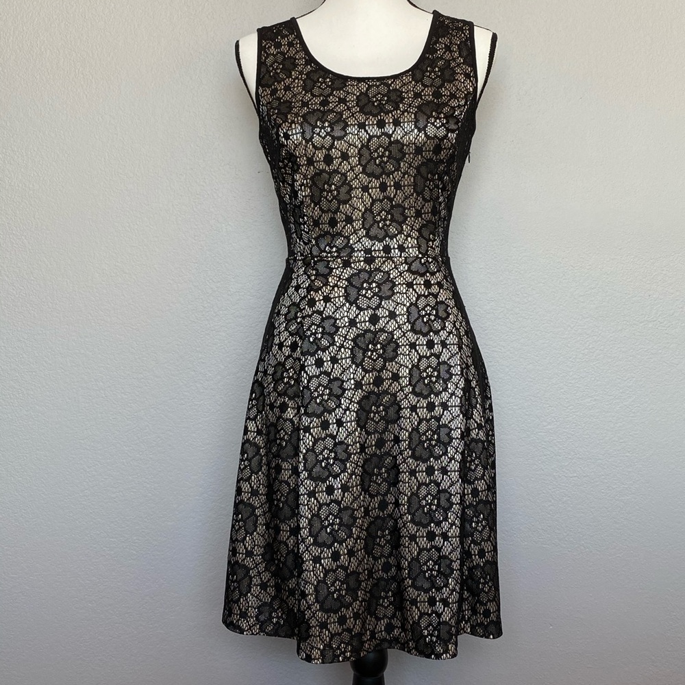 Enfocus Studio Dress